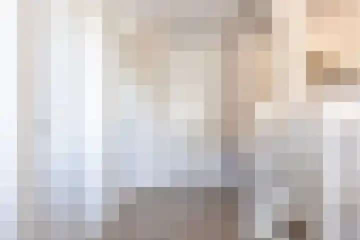 S L van Alterenlaan 3 B Lopik thumbnail 37