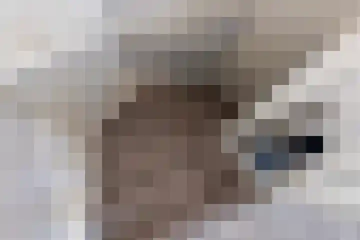 S L van Alterenlaan 3 B Lopik thumbnail 45
