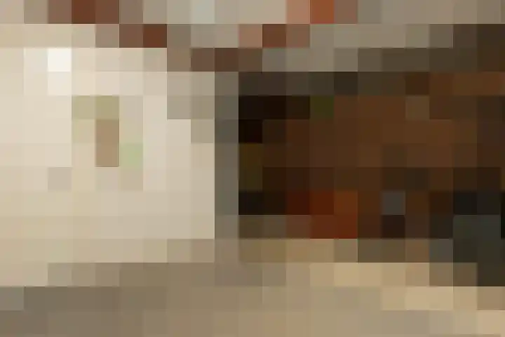 S L van Alterenlaan 3 B Lopik thumbnail 47