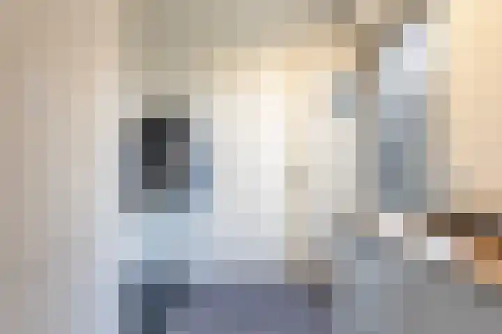 S L van Alterenlaan 3 B Lopik thumbnail 49
