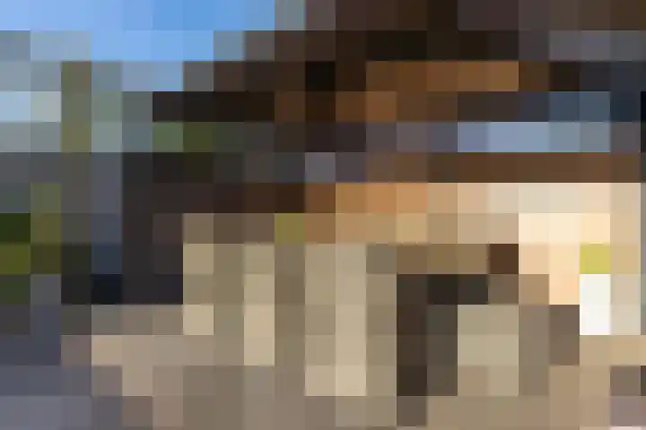 S L van Alterenlaan 3 B Lopik thumbnail 54