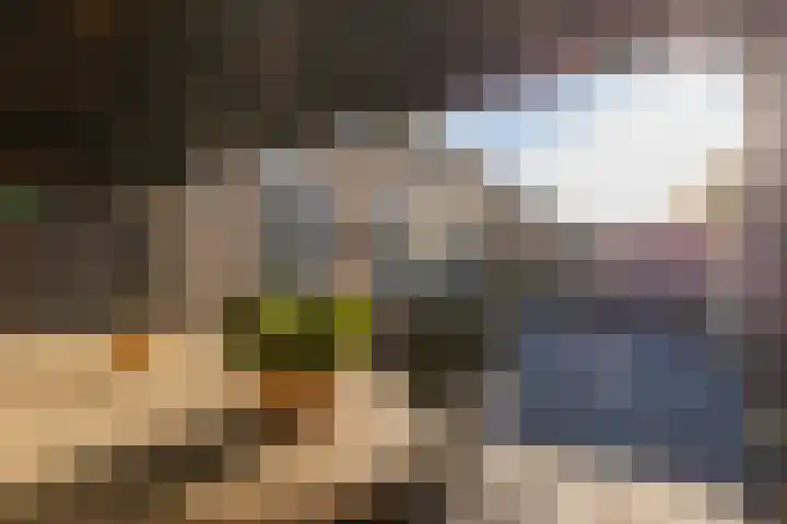 S L van Alterenlaan 3 B Lopik thumbnail 55