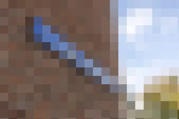 S L van Alterenlaan 3 B Lopik thumbnail 61