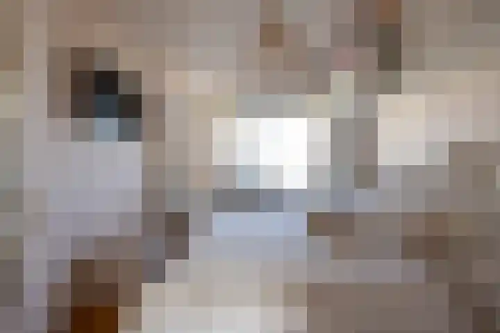 's-Lands werf 179 Rotterdam thumbnail 18