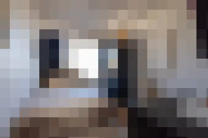 's-Lands werf 179 Rotterdam thumbnail 23