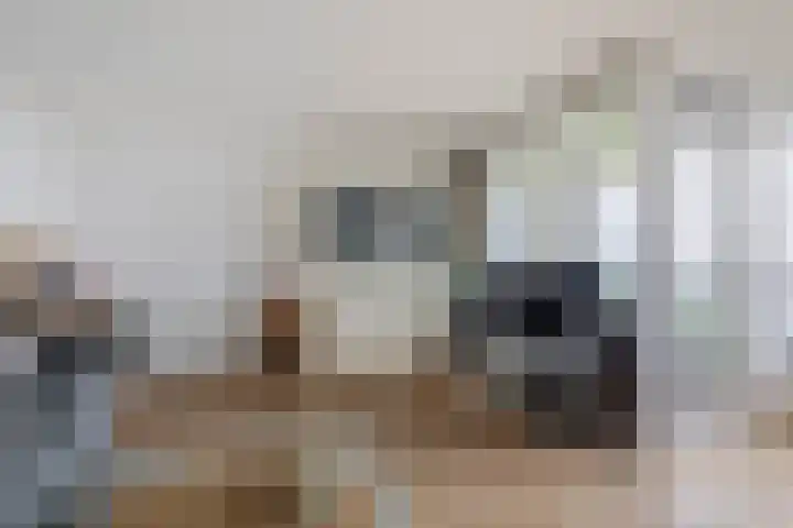 's-Lands werf 181 Rotterdam thumbnail 11