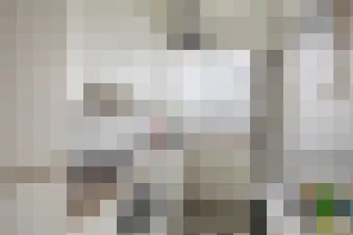 's-Lands werf 181 Rotterdam thumbnail 15