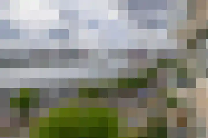 's-Lands werf 181 Rotterdam thumbnail 18