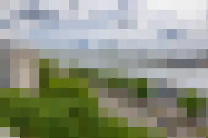 's-Lands werf 181 Rotterdam thumbnail 19