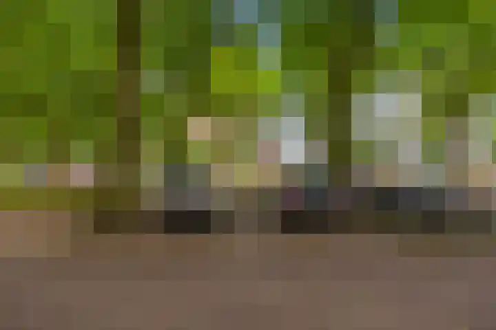 's-Lands werf 181 Rotterdam thumbnail 24
