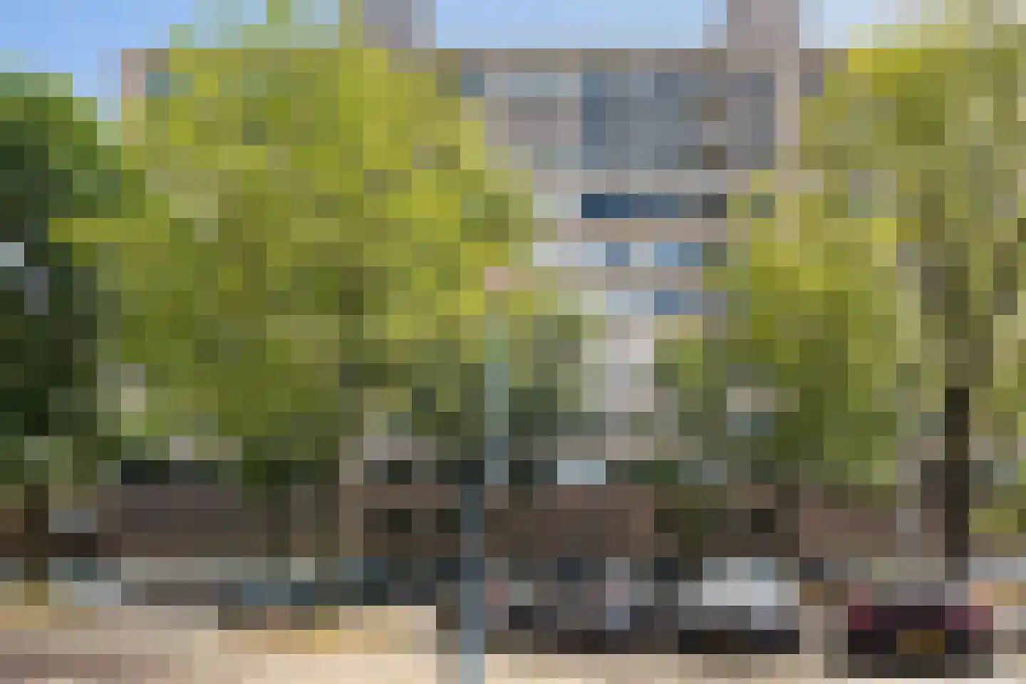 's-Lands werf 229 Rotterdam thumbnail 10