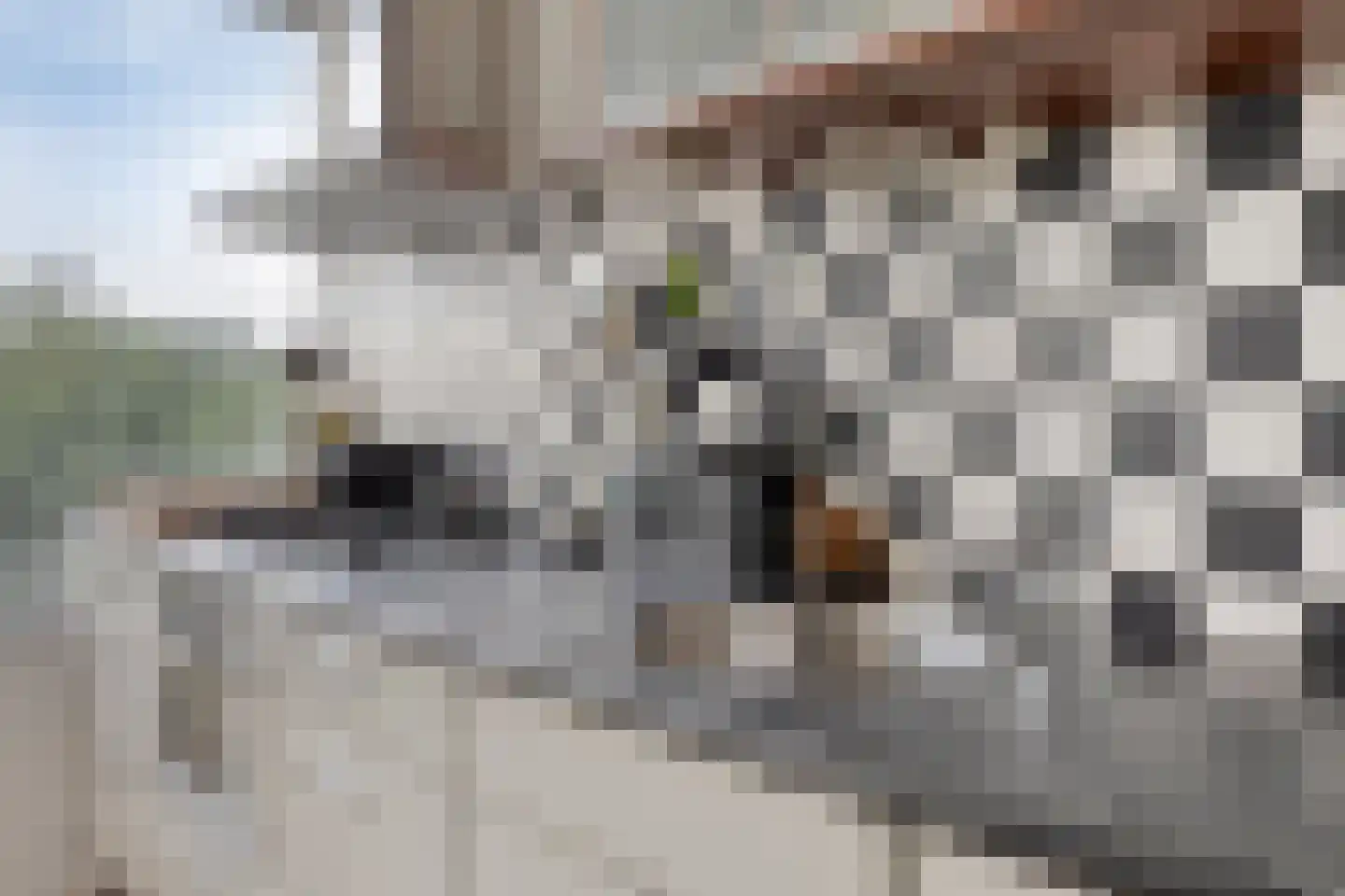 's-Lands werf 241 Rotterdam thumbnail 24