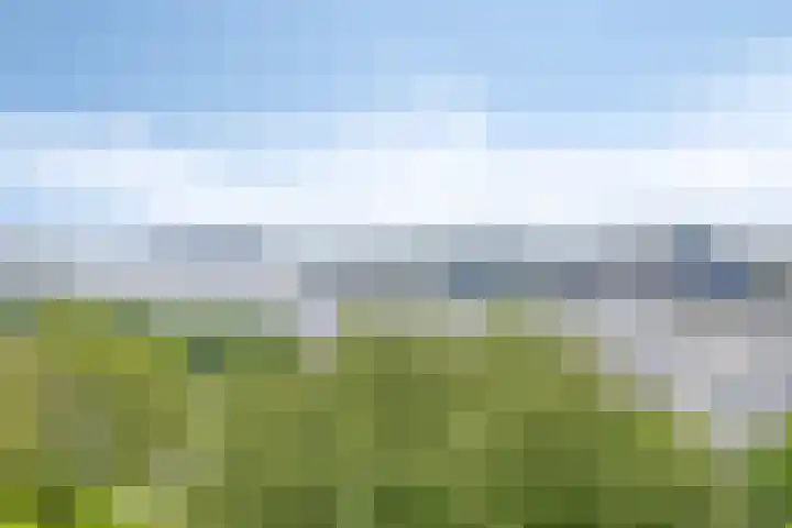 's-Lands werf 277 Rotterdam thumbnail 22