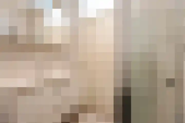 S. Lootsmastraat 26 Zaandam thumbnail 27