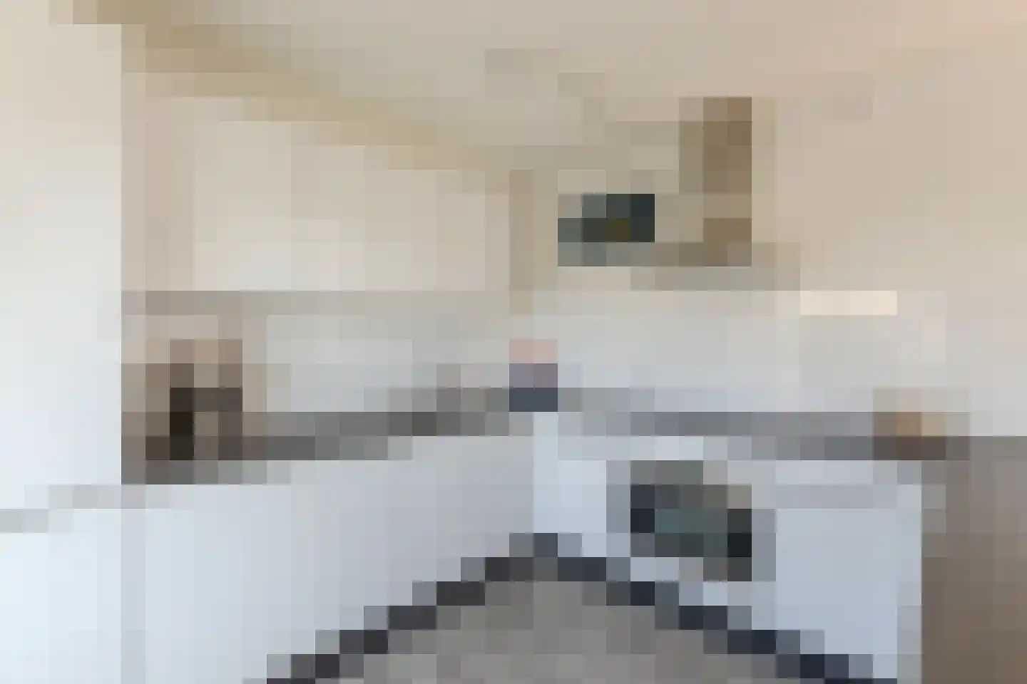 S. Lootsmastraat 4 Zaandam thumbnail 10