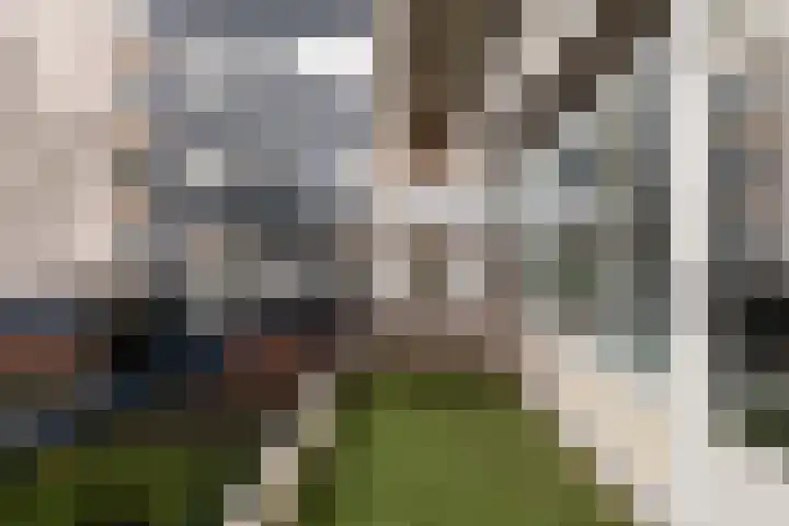 S.M. Hugo van Gijnweg 123 Dordrecht thumbnail 20