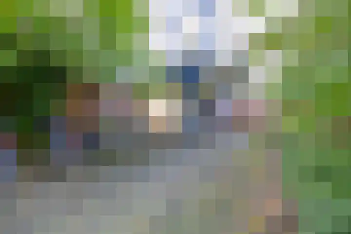 S.M. Hugo van Gijnweg 141 Dordrecht thumbnail 6