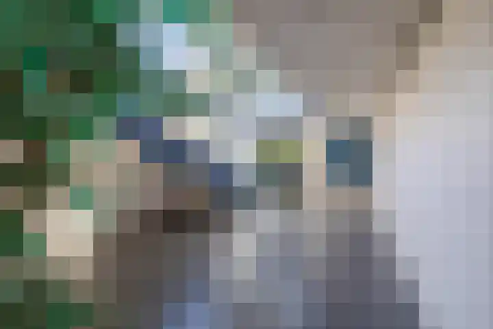 S.M. Hugo van Gijnweg 141 Dordrecht thumbnail 9