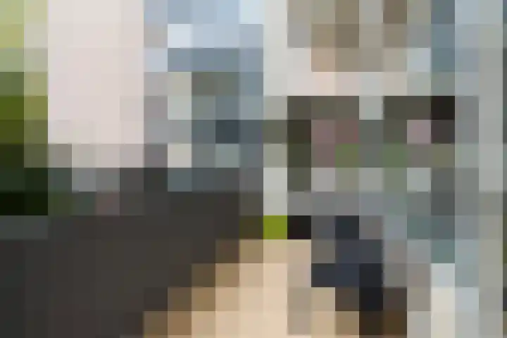 S.M. Hugo van Gijnweg 15 Dordrecht thumbnail 11