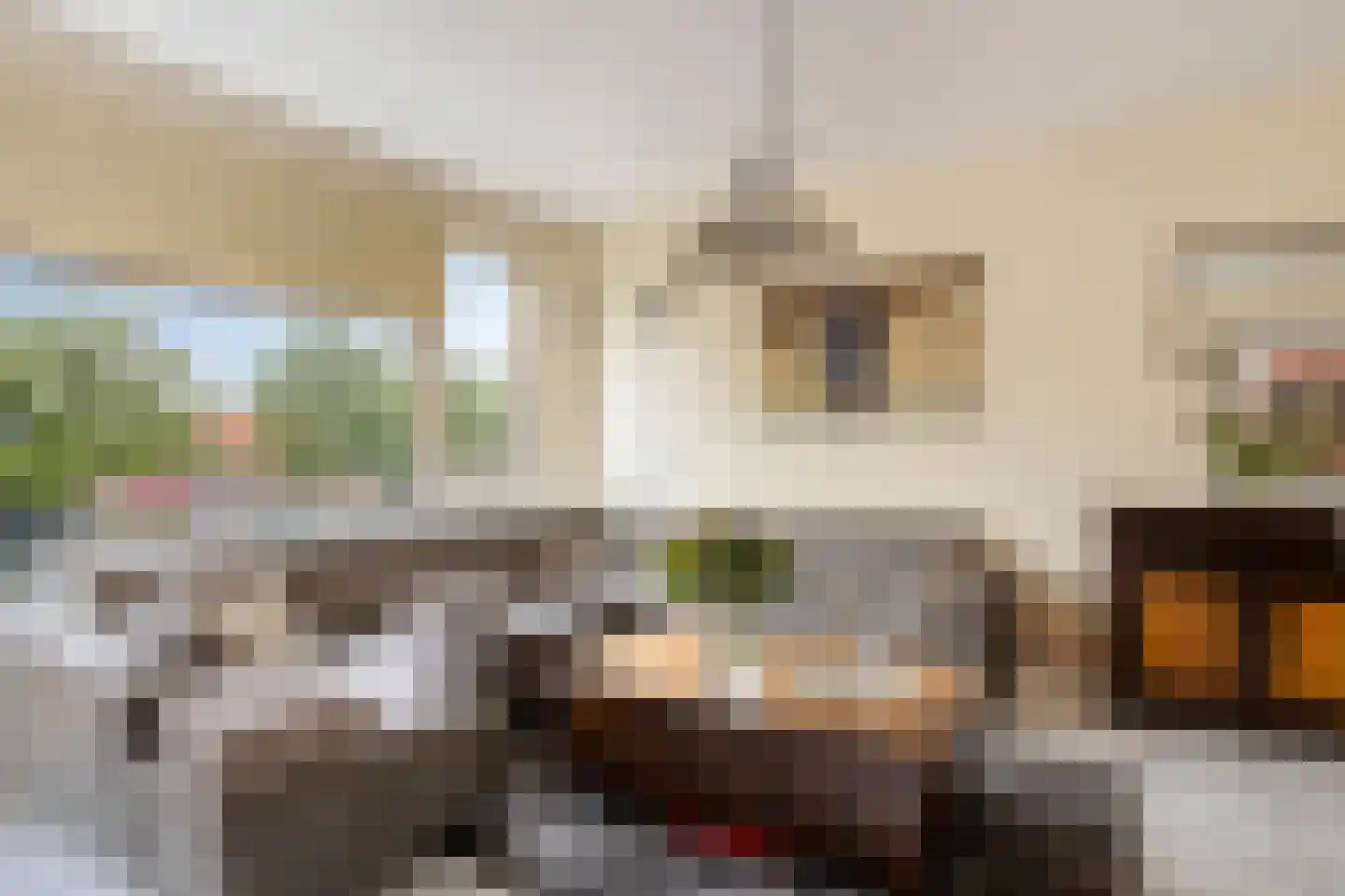 S.M. Hugo van Gijnweg 317 Dordrecht thumbnail 7