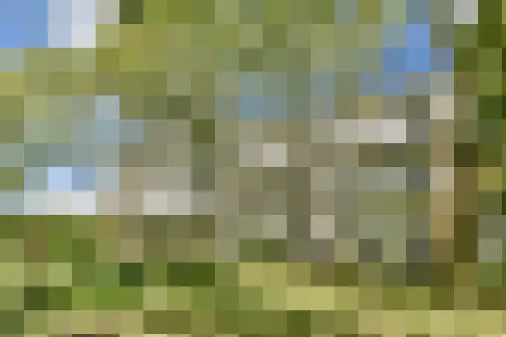 S.M. Hugo van Gijnweg 39 in Dordrecht