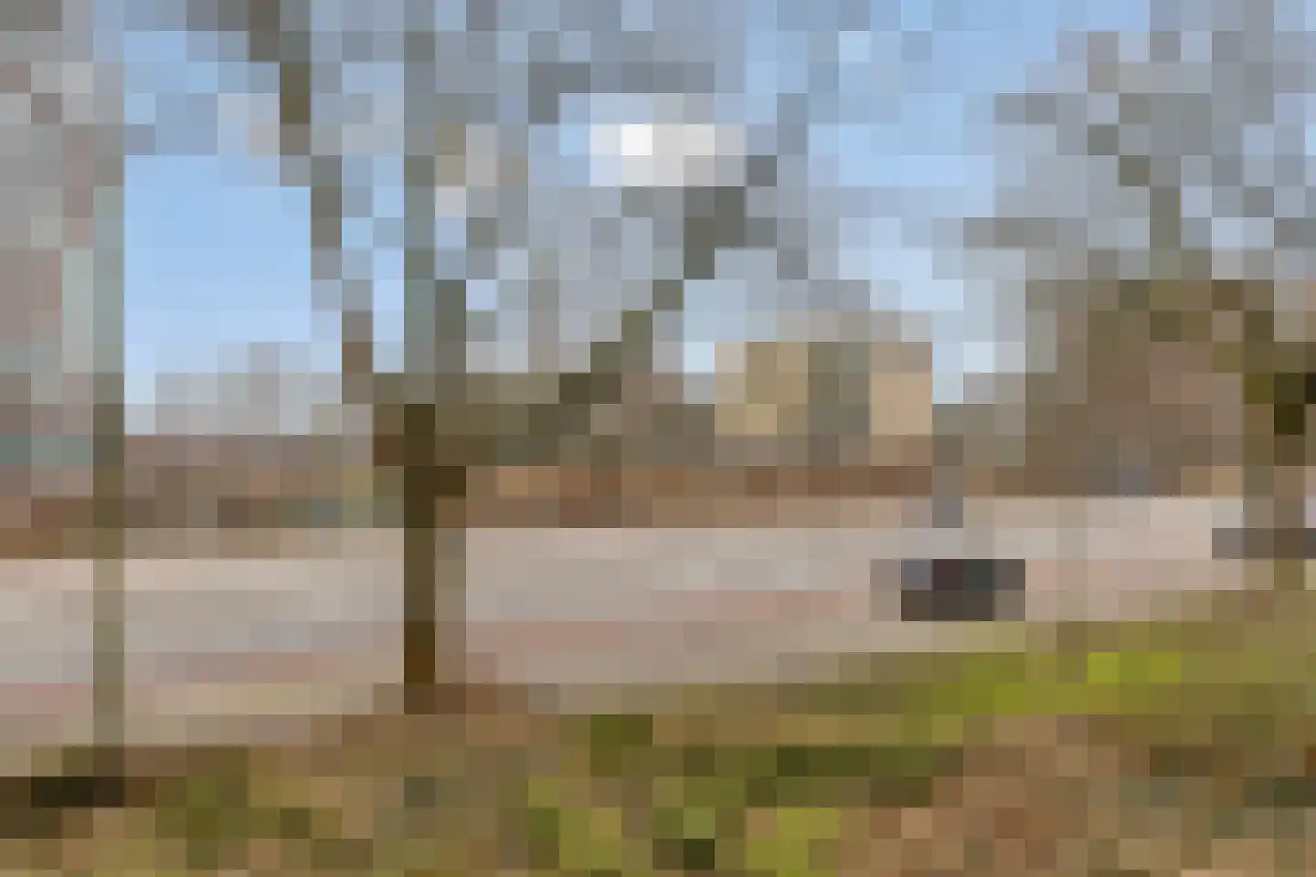 S.M. Hugo van Gijnweg 5 Dordrecht thumbnail 27