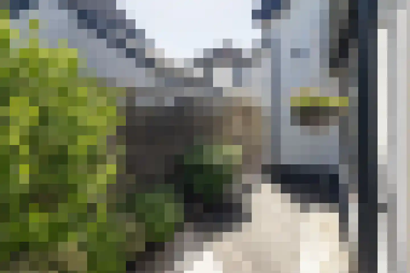 's-Molenaarsweg 19 Alphen aan den Rijn thumbnail 20