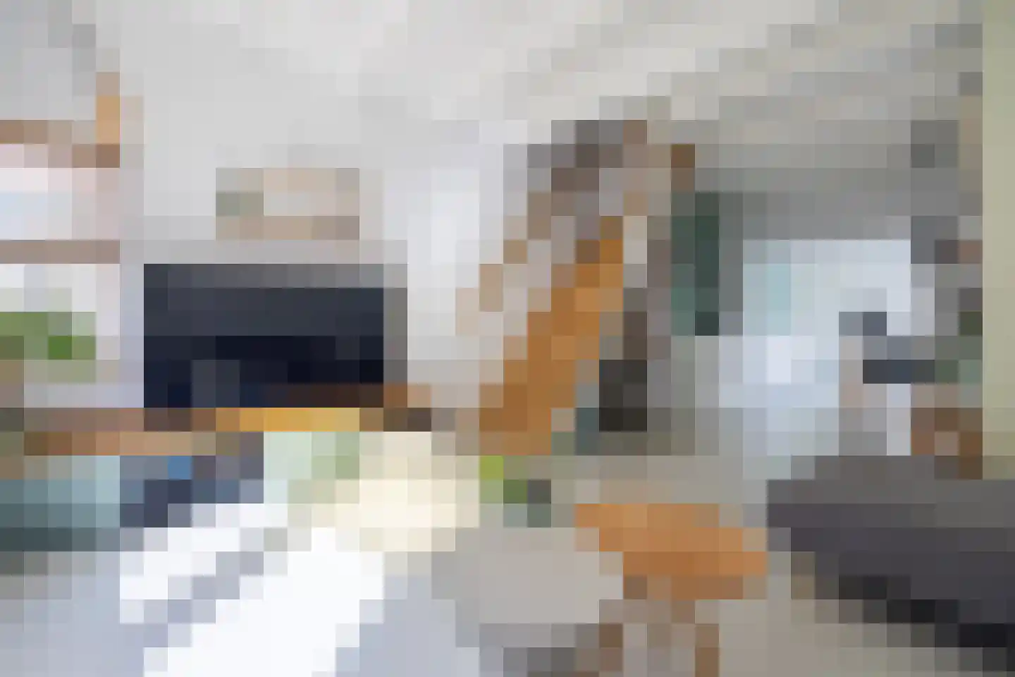 's-Molenaarsweg 19 Alphen aan den Rijn thumbnail 5