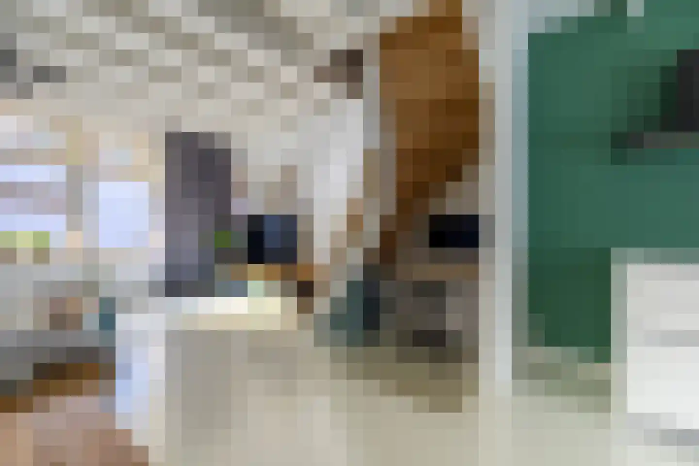 's-Molenaarsweg 19 Alphen aan den Rijn thumbnail 6