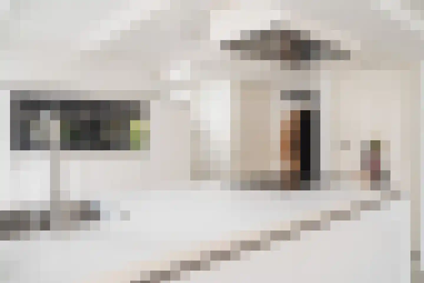 's-Molenaarsweg 31 Alphen aan den Rijn thumbnail 23
