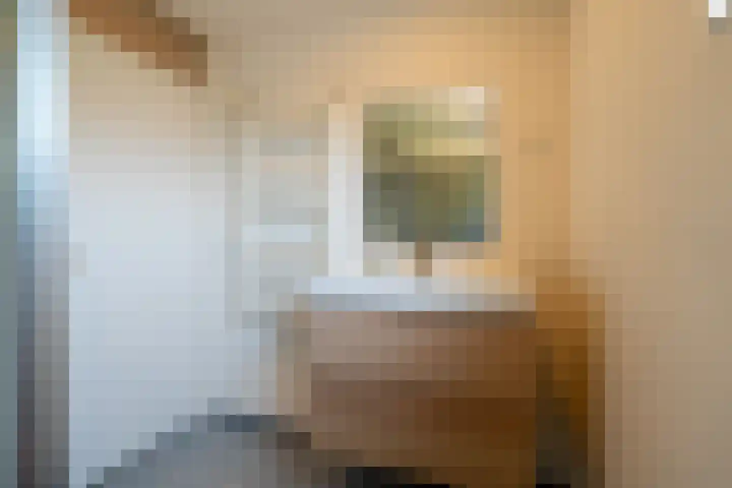 S.O.J. Palmelaan 105 Groningen thumbnail 29