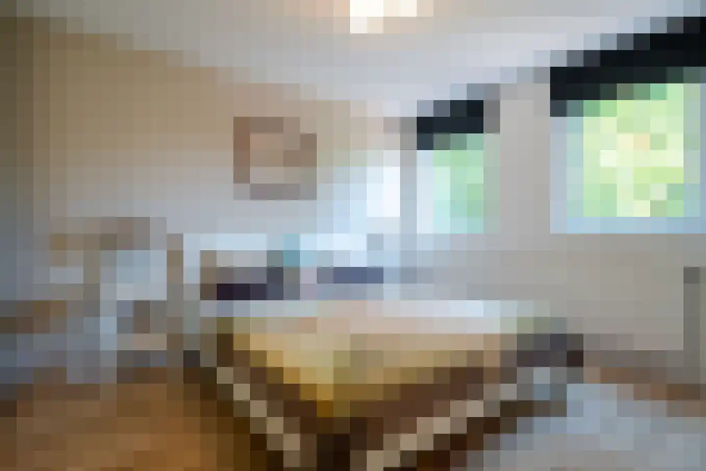 S.O.J. Palmelaan 105 Groningen thumbnail 5