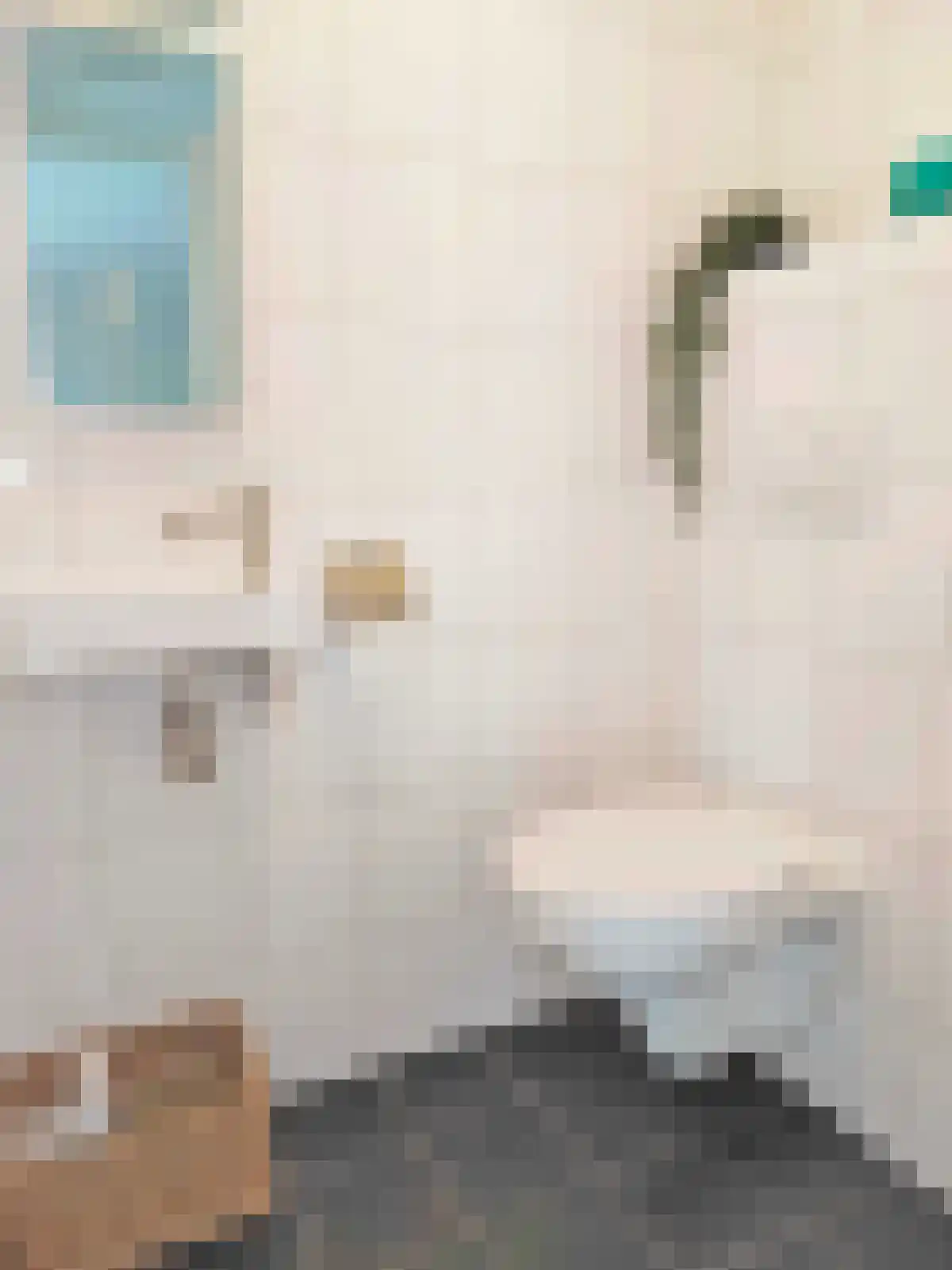 S.O.J. Palmelaan 105 Groningen thumbnail 5