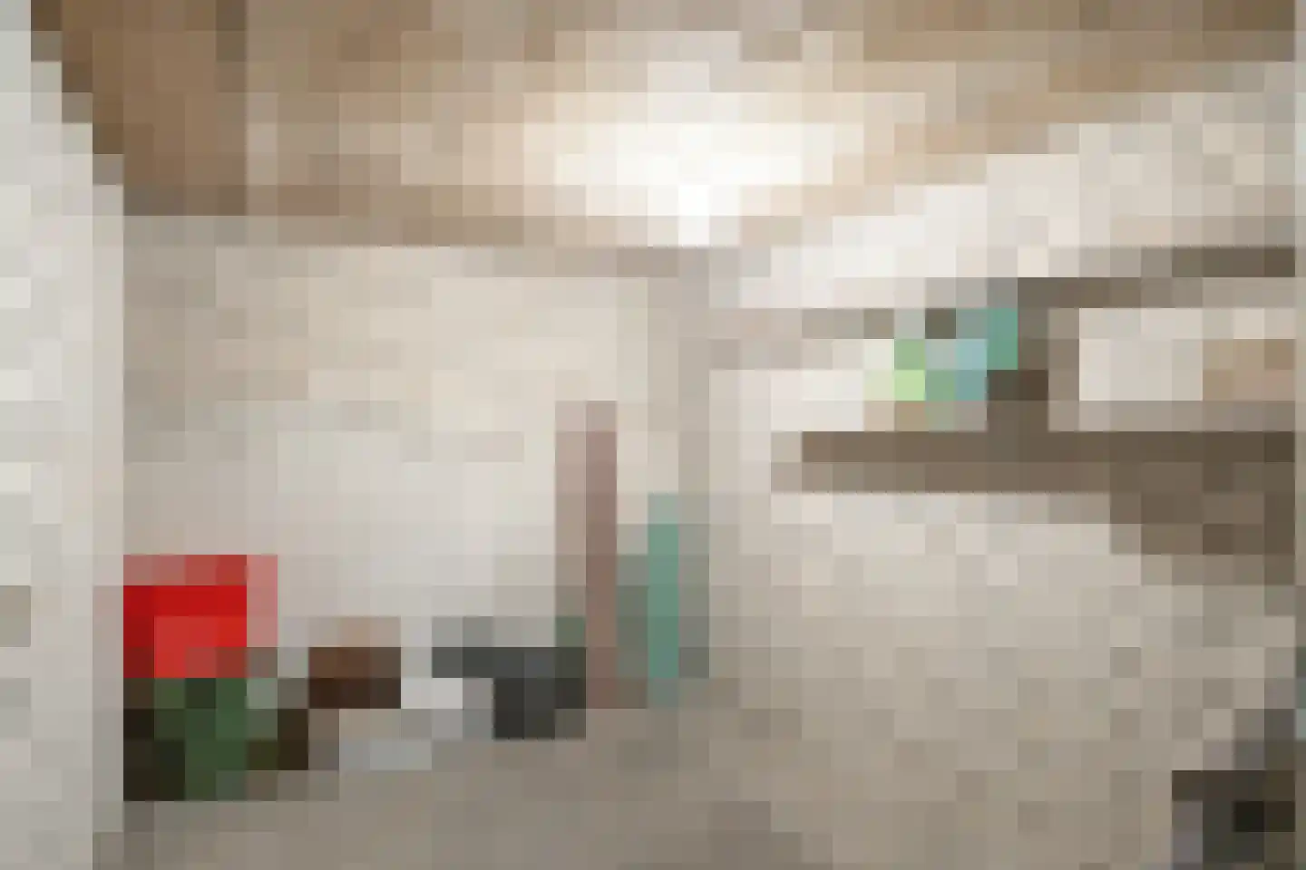 S.O.J. Palmelaan 136 Groningen thumbnail 31