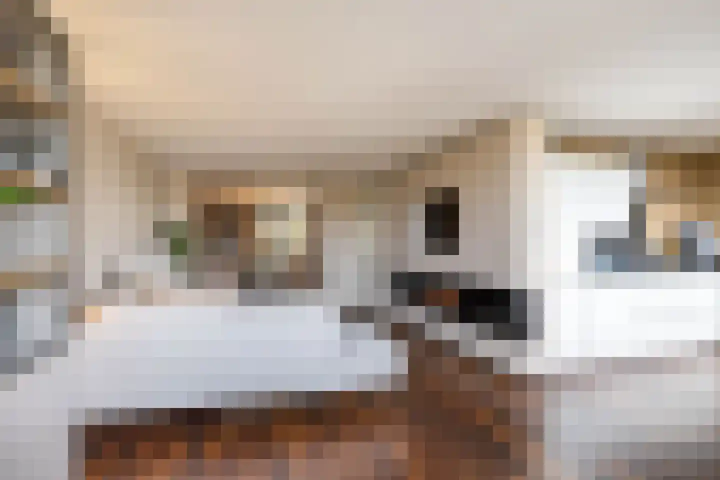 S.O.J. Palmelaan 140 Groningen thumbnail 10