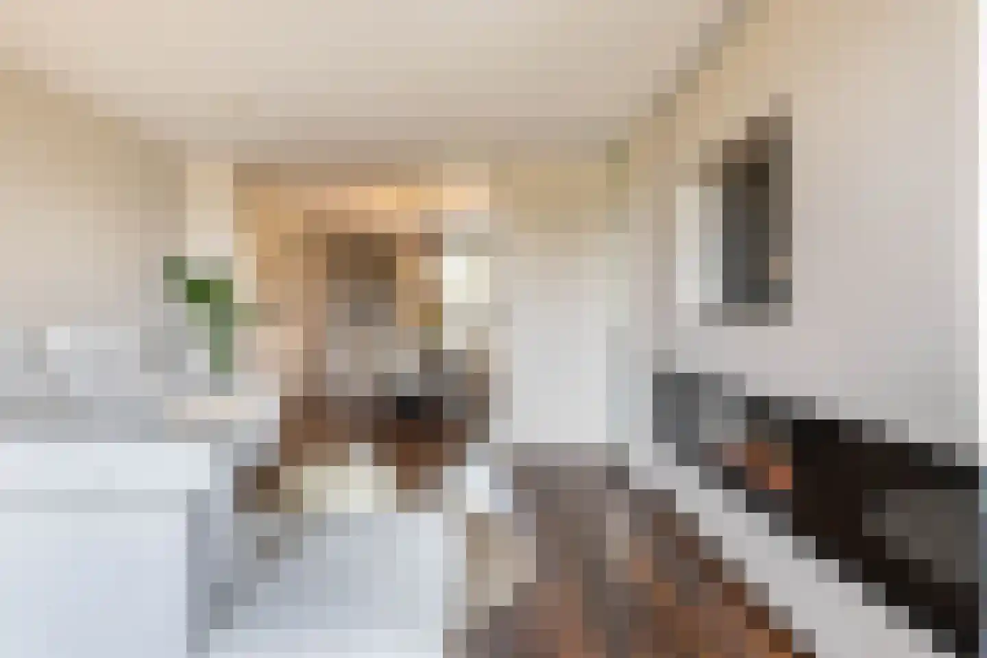 S.O.J. Palmelaan 140 Groningen thumbnail 13