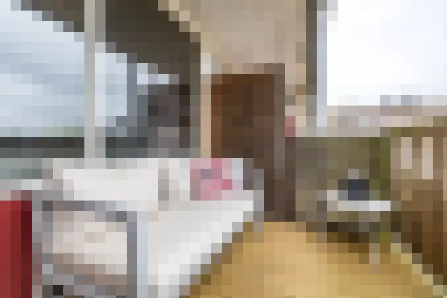 S.O.J. Palmelaan 140 Groningen thumbnail 26