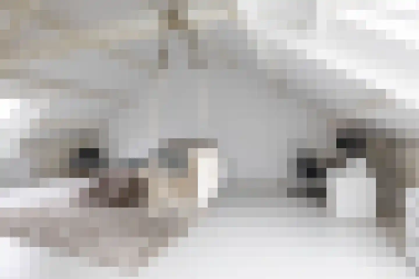 S.O.J. Palmelaan 140 Groningen thumbnail 34