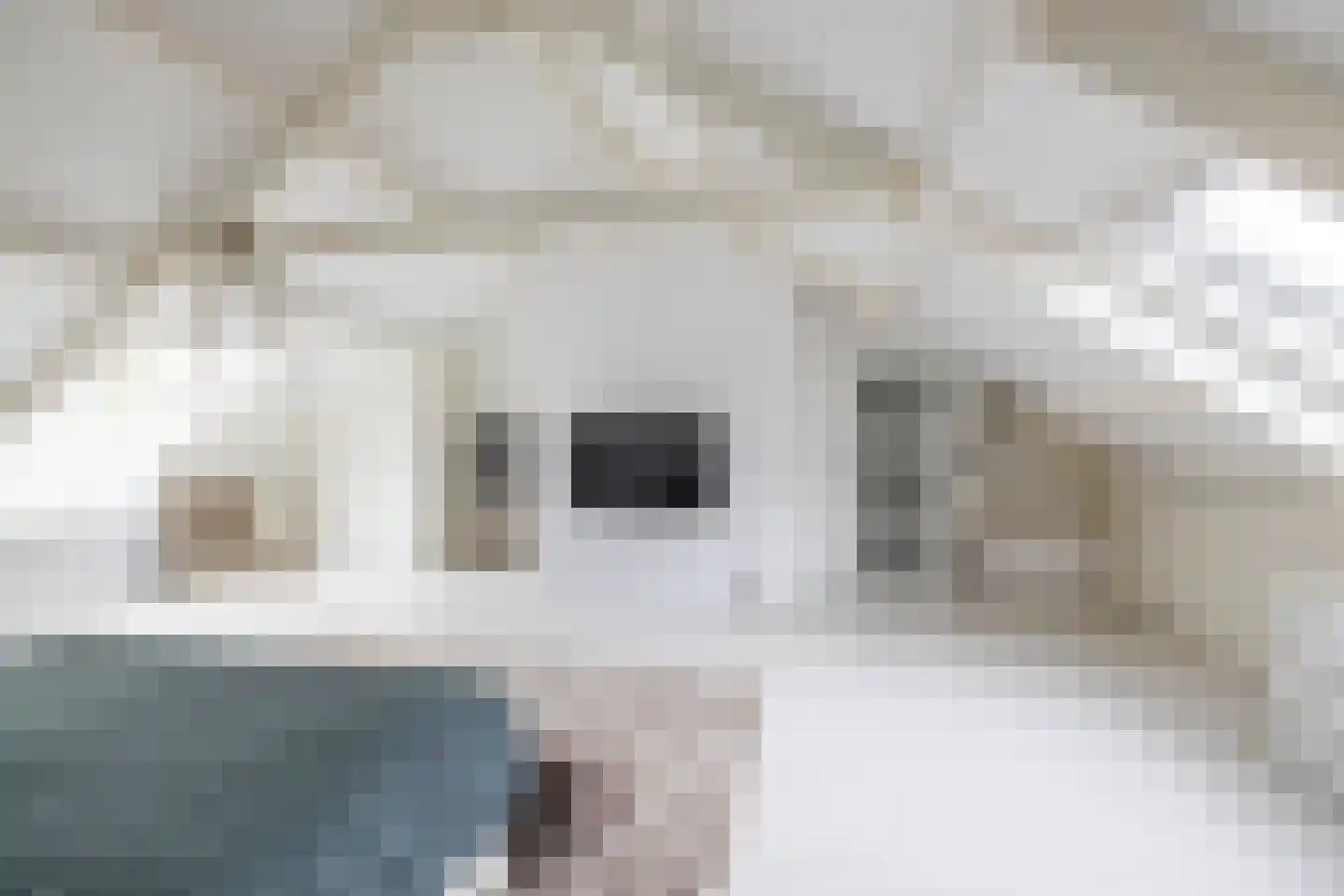 S.O.J. Palmelaan 140 Groningen thumbnail 35
