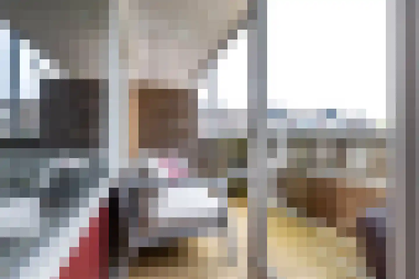 S.O.J. Palmelaan 140 Groningen thumbnail 4