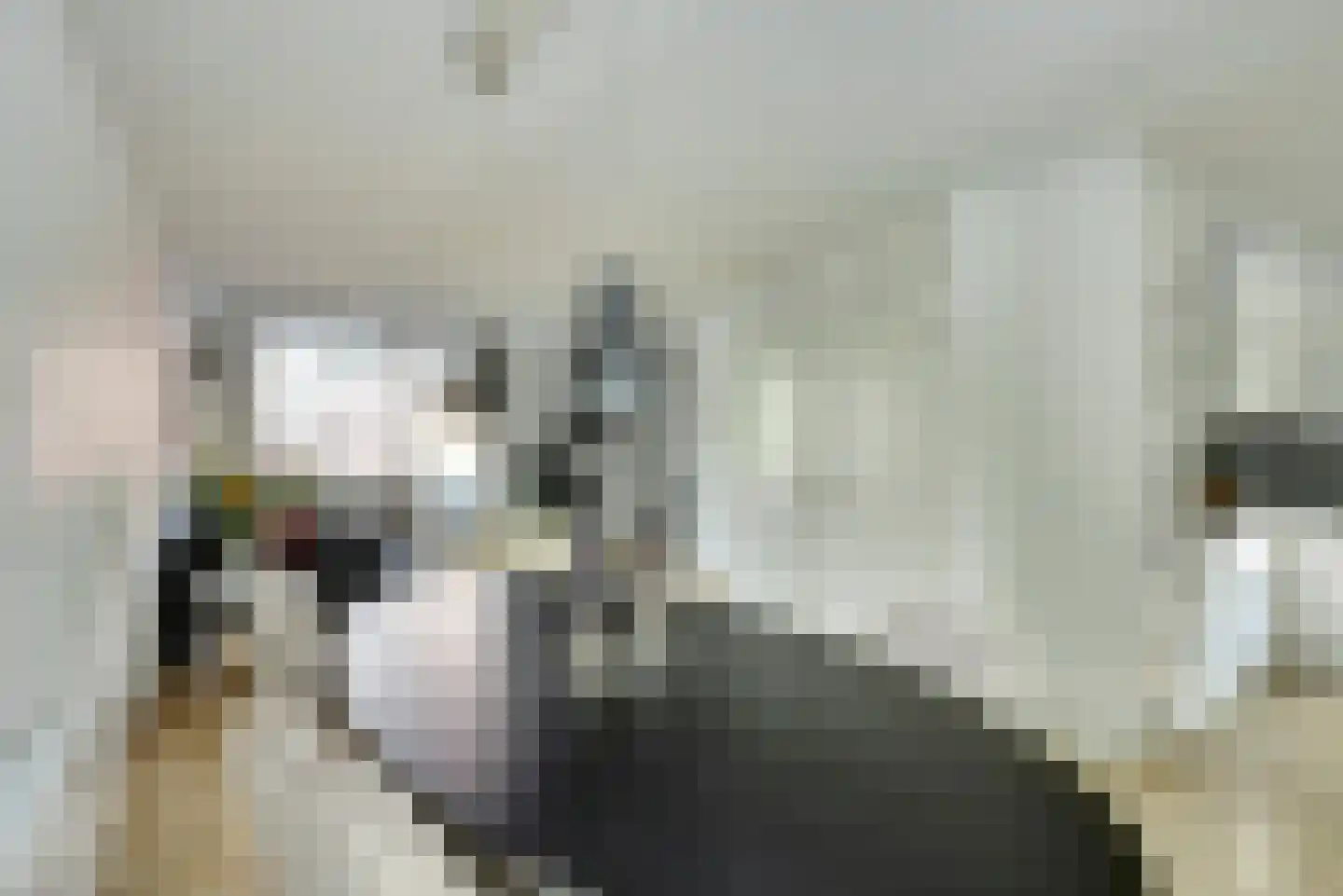 S.O.J. Palmelaan 153 Groningen thumbnail 10