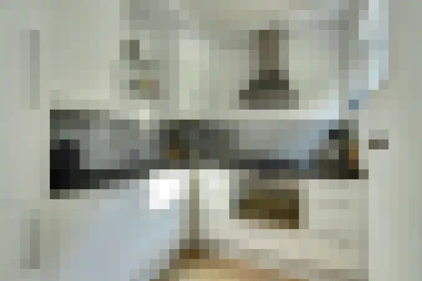 S.O.J. Palmelaan 153 Groningen thumbnail 13