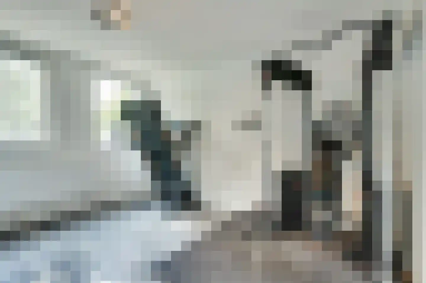 S.O.J. Palmelaan 153 Groningen thumbnail 18