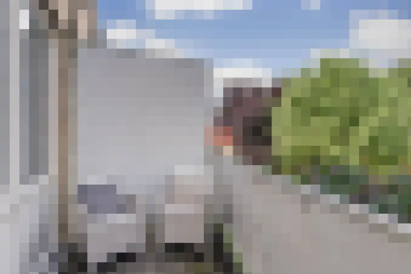 S.O.J. Palmelaan 153 Groningen thumbnail 24