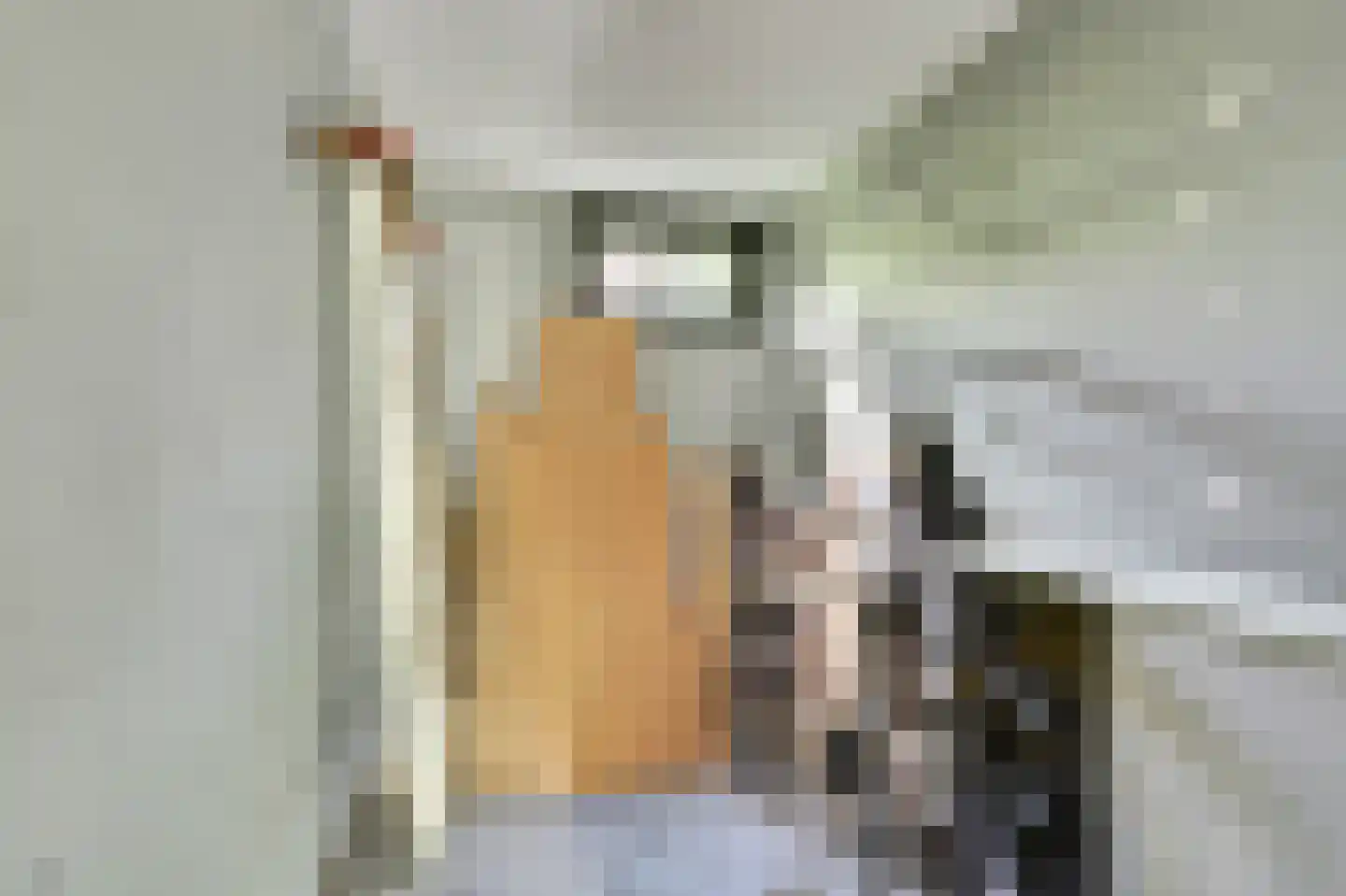 S.O.J. Palmelaan 153 Groningen thumbnail 27