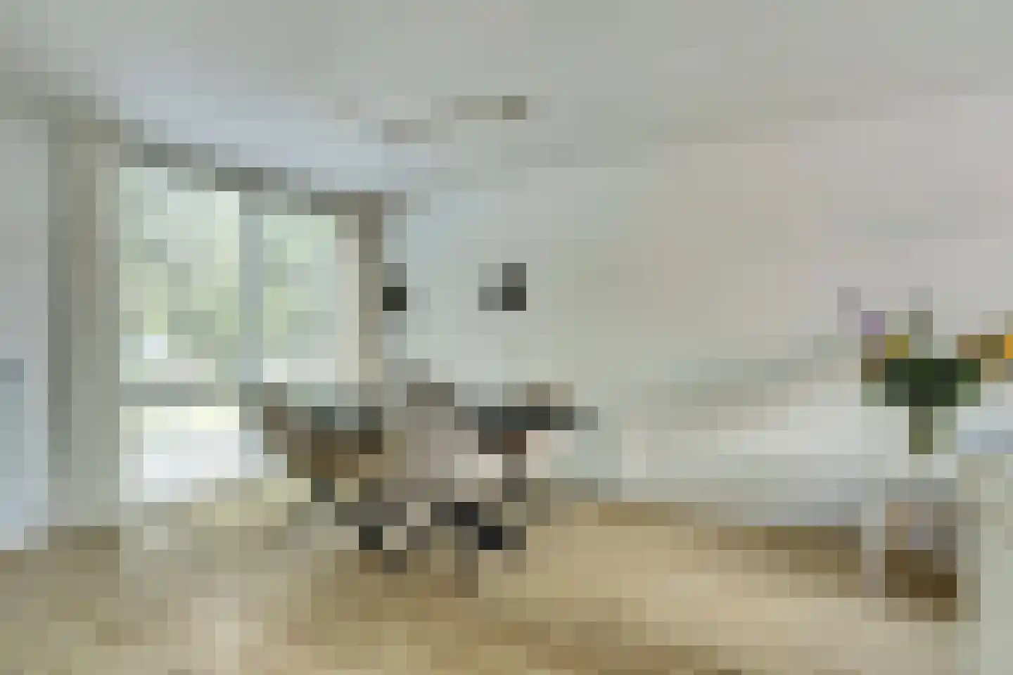 S.O.J. Palmelaan 153 Groningen thumbnail 8