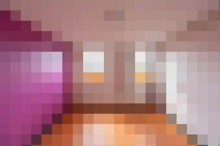 S.O.J. Palmelaan 165 Groningen thumbnail 16