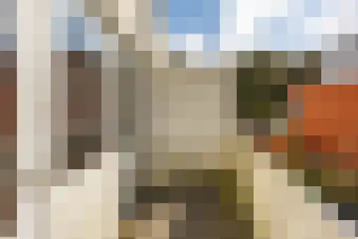 S.O.J. Palmelaan 165 Groningen thumbnail 23
