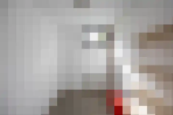 S.O.J. Palmelaan 165 Groningen thumbnail 27