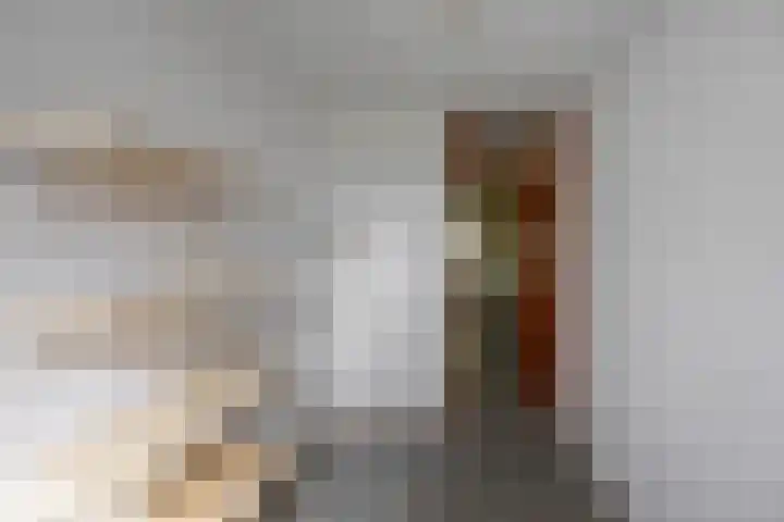 S.O.J. Palmelaan 165 Groningen thumbnail 28
